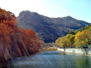 新澳天天开奖资料大全旅游团，甜味白开水